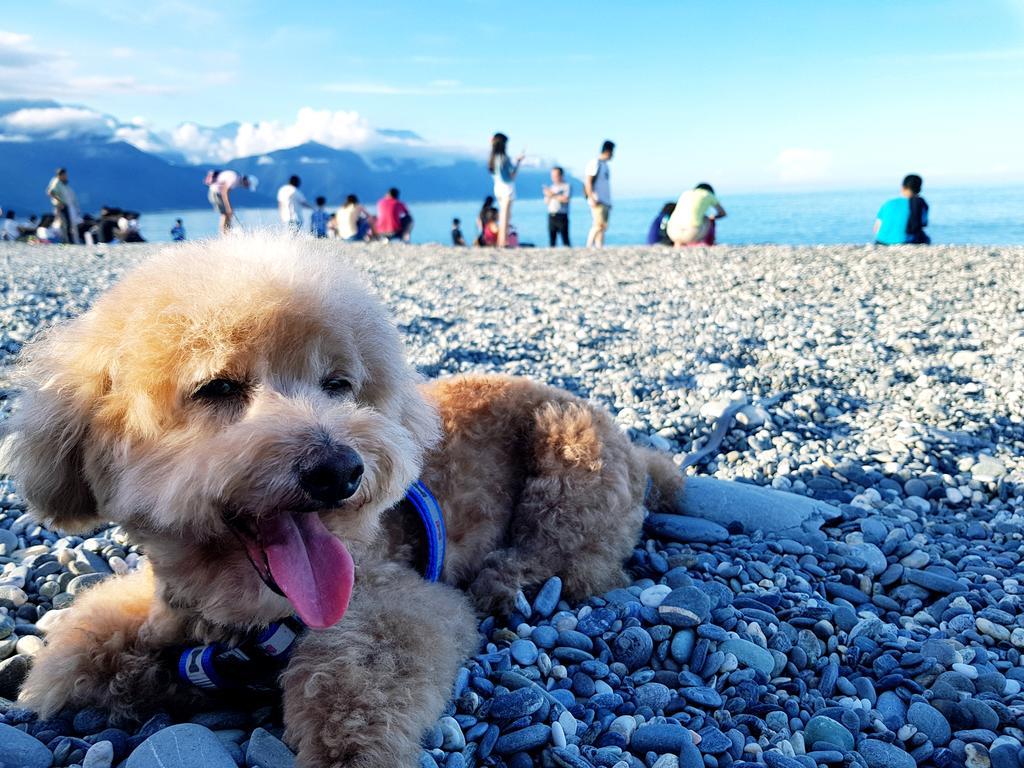 Bearbear Homestay Chua-lien Exteriér fotografie