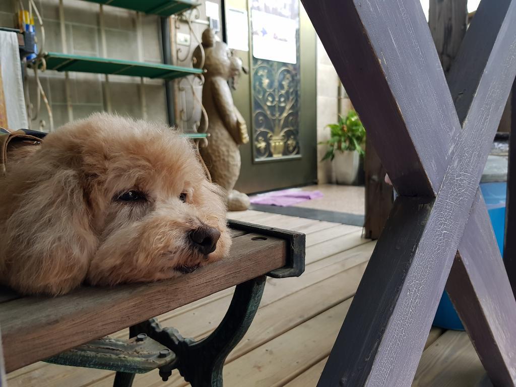 Bearbear Homestay Chua-lien Exteriér fotografie